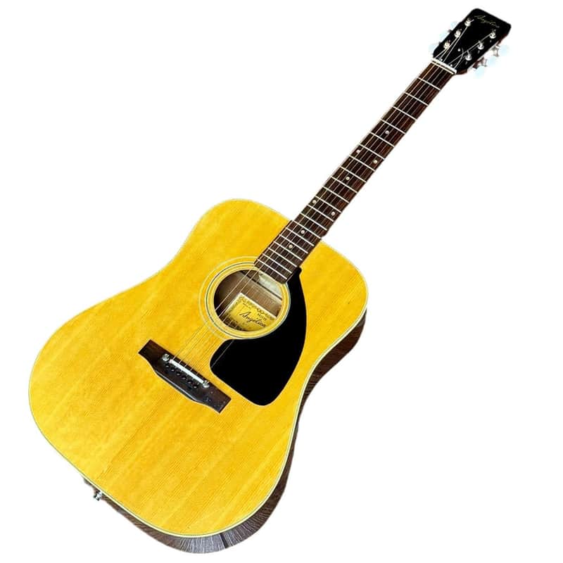 Angelica 6710 Acoustic Guitar image 1