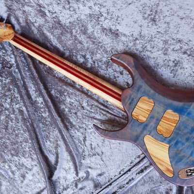 Immagine GB Liuteria Custom Boutique Ergal 6 string Fossil edition - 19