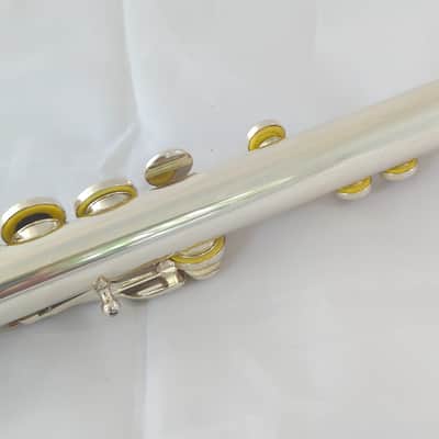 Immagine Recent Sankyo Etude PA flute ST-2 cut solid silver head closed hole - 8