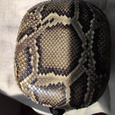 Da Sanxian Traditional Chinese plucked string instrument Rosewood Snake Skin 三弦 image 3