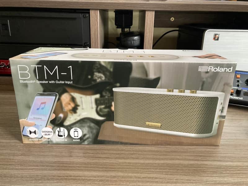 Roland BTM-1 Bluetooth Speaker with Guitar Input 2025 - White image 1