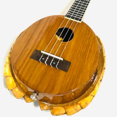Turtle Shell Concert Ukulele image 1