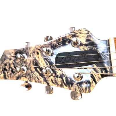 (made in Ukraine) Lobanov Guitars LW Feather '2025 Burled Grey w/GigBag image 4