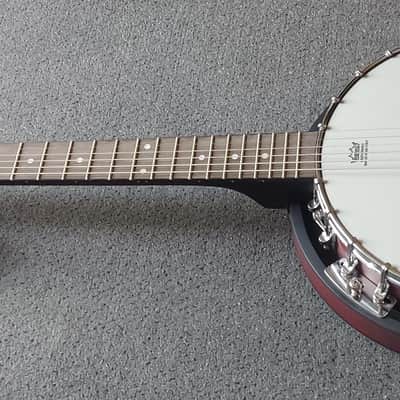 Richwood RBJ-6 6-snarige gitaarbanjo - mat image 2
