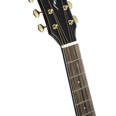 Cort GOLDOC6-BO Gold Series OC6 Bocote Acoustic Electric Guitar. Natural Glossy image 3