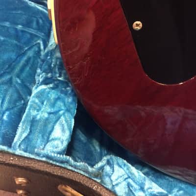 Gibson Les Paul Snake Pit image 8