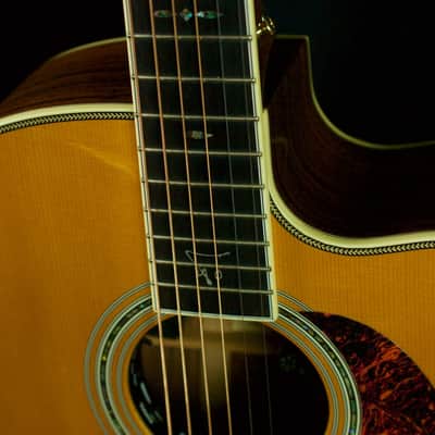 Martin DC Trey Anastasio 2005 natural image 3