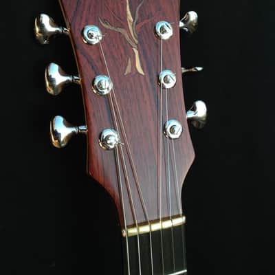 Waldschmidt Guitars-Jerry Garcia Tiger Clone image 7