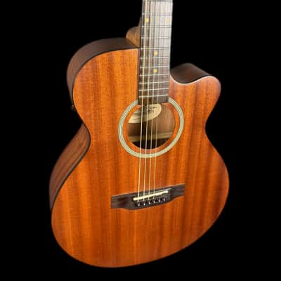 James Neligan DEV-ACFI Deveron series, Auditorium Electro Acoustic Guitar image 3