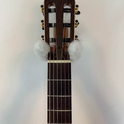 Cordoba Stage Nylon-String Electric Guitar Natural Amber image 8
