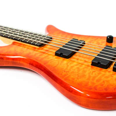 Spector Q5 Pro 5 String Electric Bass Signed by Stuart Spector With Case image 10