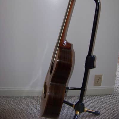 Larson Brothers "Mayflower" 1900 Vintage Parlor Acoustic Guitar image 8