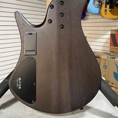 Ibanez Bass Workshop EHB605 Electric Bass Guitar - Walnut Flat & PLEK*D #857 image 9