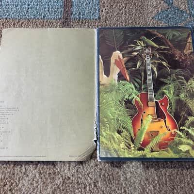 Vintage 1966 Gibson Full-Line Full-Color Catalog! Rare, Original Case Candy, Paperwork! image 2
