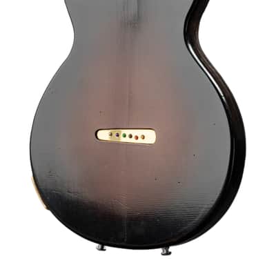 Harvester Guitars Double Cut Dozen, Recycler Series 12 String, 2022, NEW (Authorized Dealer) image 4