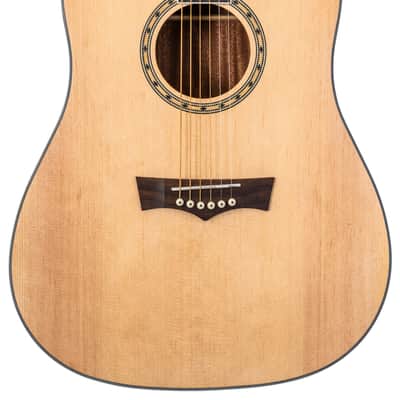 Peavey DELTA WOODS DW-2 SOLID TOP DREADNOUGHT ACOUSTIC GUITAR WITH CASE image 3