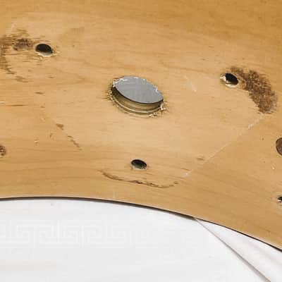 Ludwig 16" X 22" 81-83 6 Ply Maple White Cortex Bass Drum Shell B/O Badge #3084418 - LBDS-701-22-WC image 9