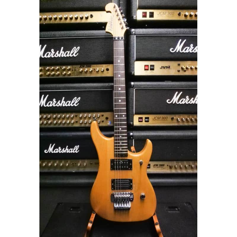 Washburn N2 image 1