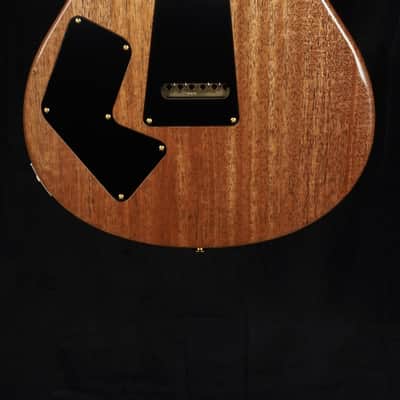 PRS Modern Eagle V with 10-Top in Aurora Borealis image 5
