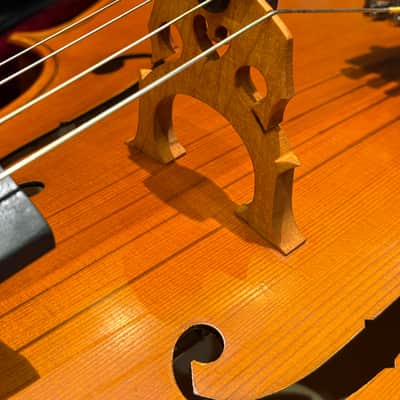 2007 Mathias Thoma Model 150 Cello - All Hand Carved Solid Maple - Spirit Varnish - with case Bild 9