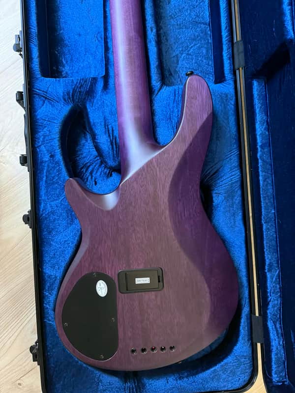 Schecter C-5 GT 2022 - Present - Satin Trans Purple | Reverb