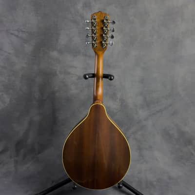 J. Reynolds JRMAN20 A-Style Mandolin image 11