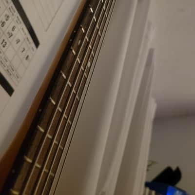 Immagine Spector Q5 Pro 5 String Emghz 35" scale
W/ tan Ibanez Power Pad (Soft Case) - 17
