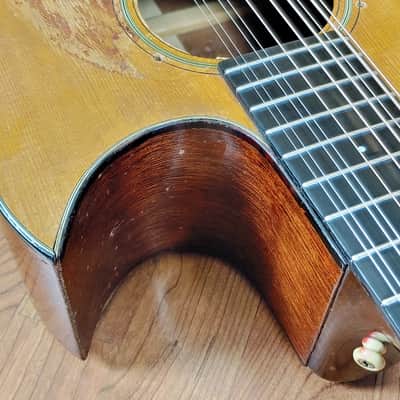 1965 Martin D12-20 Owned by Leo Kottke 10-String with COA Benefits Stropes Foundation image 12