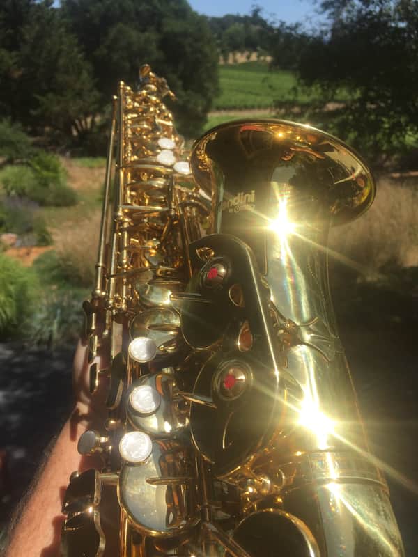 Saxophone - Eb - Alto - Mendini (Used) image 1