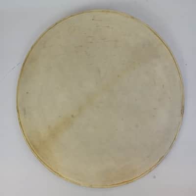 *Wilson 24" Calf Skin Bass Drum Head Vintage 20s Batter/Resonant Kick Calfskin image 2