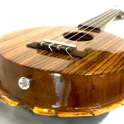 Turtle Shell Tenor Ukulele image 11