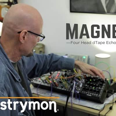 Strymon Magneto image 19