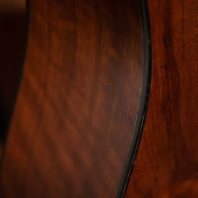Taylor 310ce-LTD, 2001 image 18