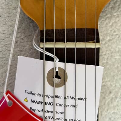 Fender To The Stars Limited Edition Tom Delonge "Padre" Stratocaster 2025 - Brown w/ Orange Competition Stripe image 20