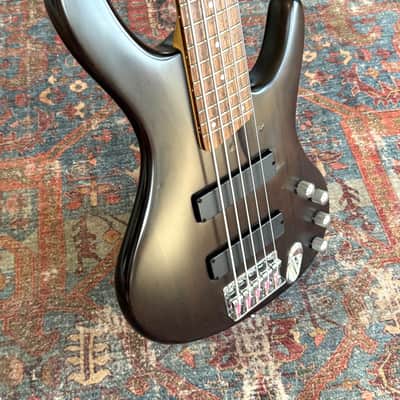 Ibanez EDB405 Ergodyne 5-String Bass Transparent Flat Black Stain image 4