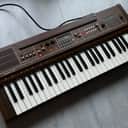 Casio CT-501 Casiotone Rare Vintage Synthesizer analog digital fm lofi 301 401 403 405 501 601 602 610 701