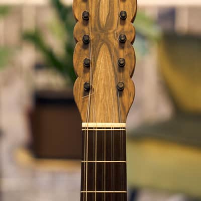 Artimúsica Traditional Luthier 10 String "Viola de Arame" Madeira image 4