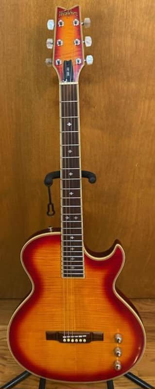 Washburn Washburn SBF-80 Electric Acoustic image 1