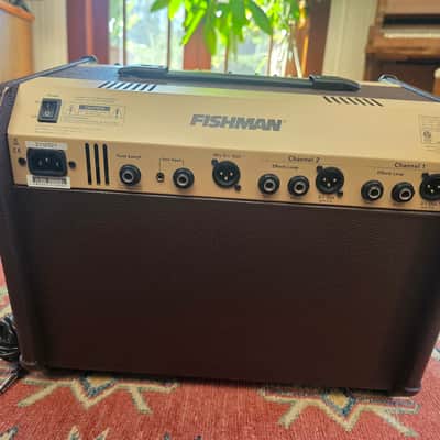 Fishman Loud box Artist 2021 - Brown image 4