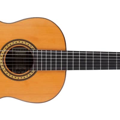 Esteve 6PS Classical Guitar Cedar/Rosewood image 2