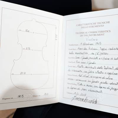 Francesco Bissolotti Violin 2017 Cremona Italy - Stradivari 1705 Model w/ Certificate image 15