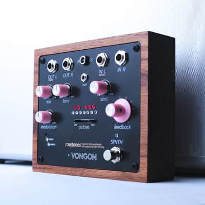 Vongon Rosetones A Resonant String Synthesiser image 2