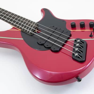 Dingwall John Taylor 2023 - Custom image 4