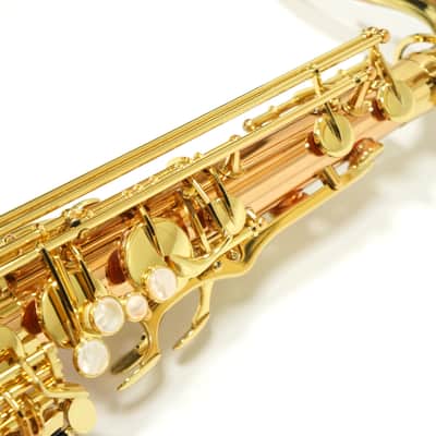 【Special price】 Yanagisawa T-WO2[TWO2] Bronze Tenor Saxophone image 4