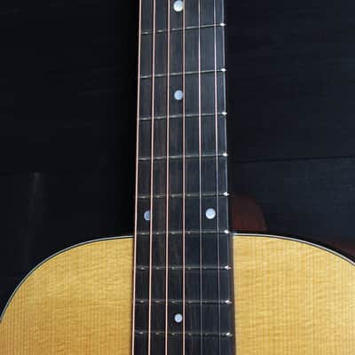 Eastman E10P-TC Thermo-Cure Parlor Guitar Mahogany / Adirondack image 21