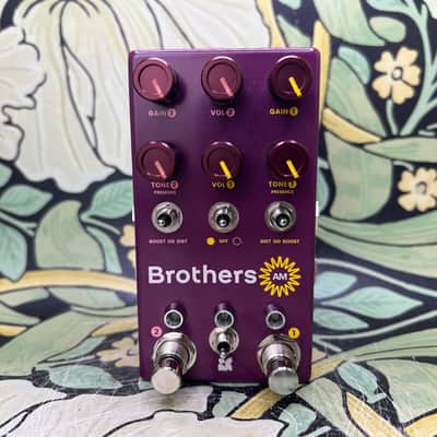 Chase Bliss Brothers AM - Used image 2