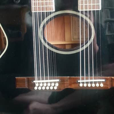 Washburn Ea200 12 string /6 string Black image 5