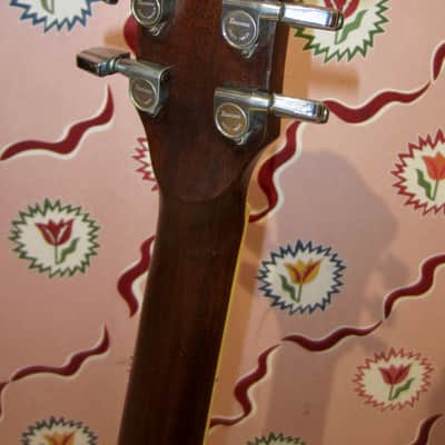 Ibanez Ragtime Special R-400 - Acoustic 1980 - with gig bag | Reverb