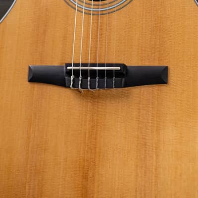 Taylor 214ce-N Nylon Grand Auditorium Acoustic/Electric Guitar with Gig Bag - Factory Demo image 10