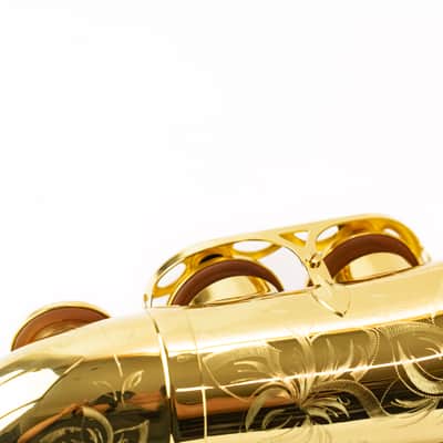 Selmer Paris 52AXOS Professional Alto Saxophone - (Competition Demo / Open Box Model) image 19